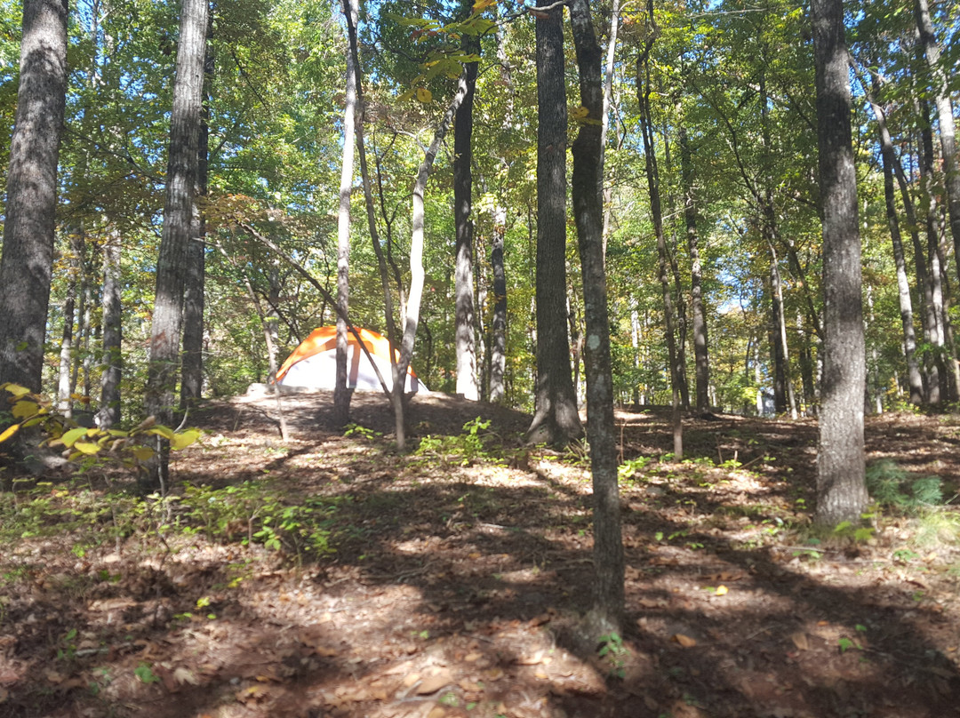 Keowee-Toxaway State Park景点图片