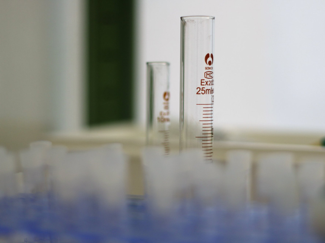 Train Your Brain - Escape Room-德鲁斯基宁凯必去景点