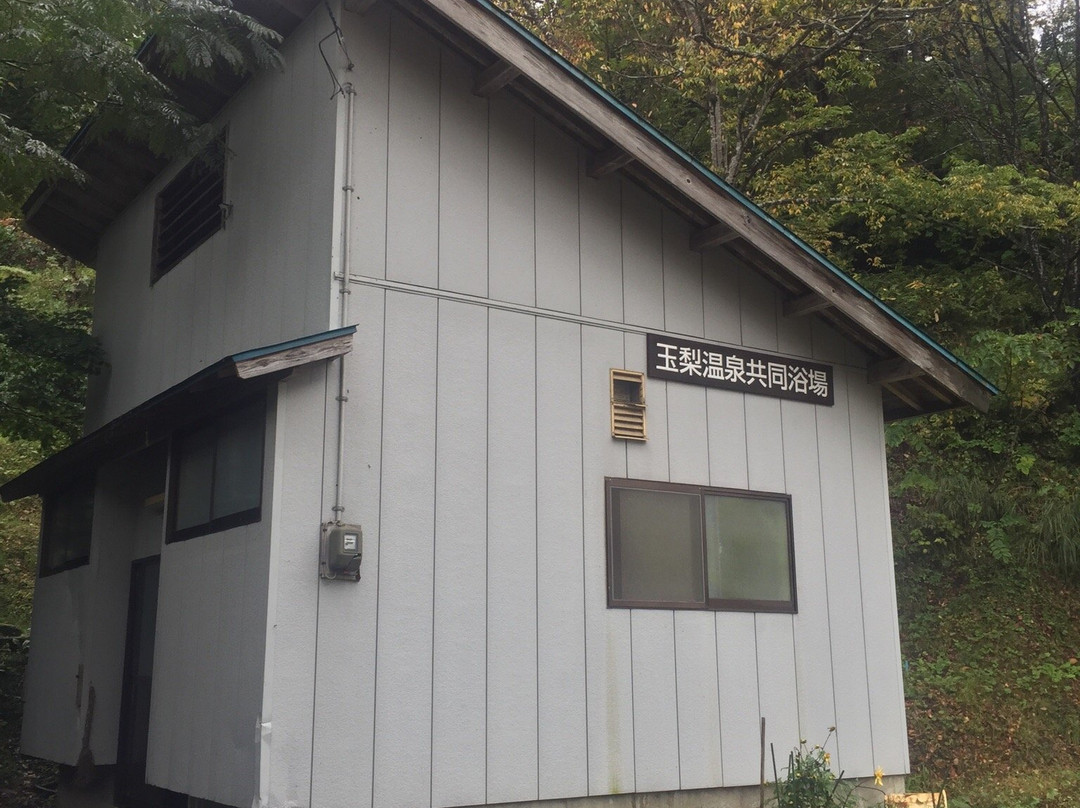 Tamanashi Onsen Public Bath景点图片