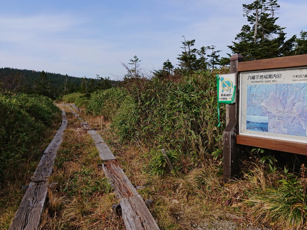 Kuroyachi Wetland-八幡平市必去景点