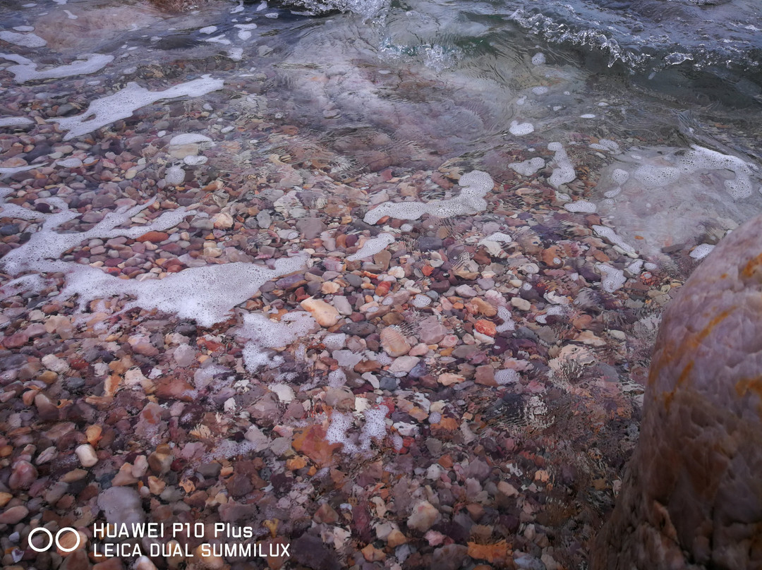 长岛林海公园-长岛县必去景点