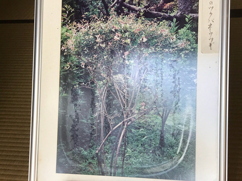 Ryokanso-热海市必去景点