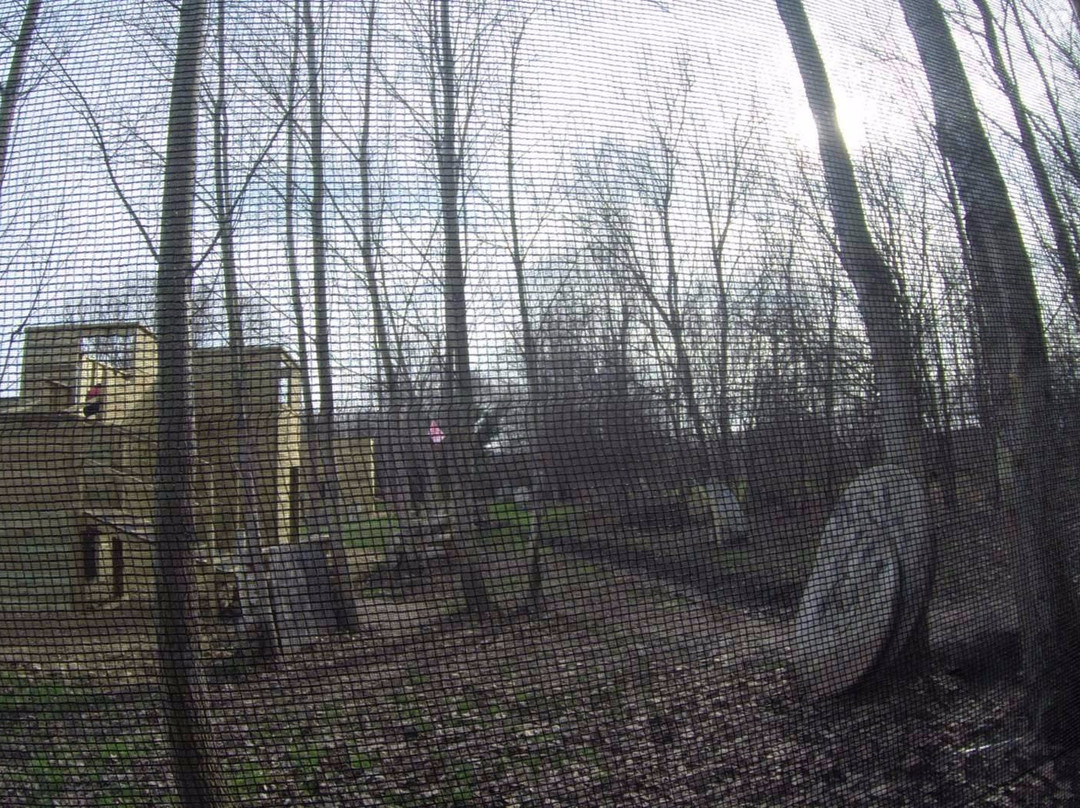 Only Paintball Lyon Sud景点图片