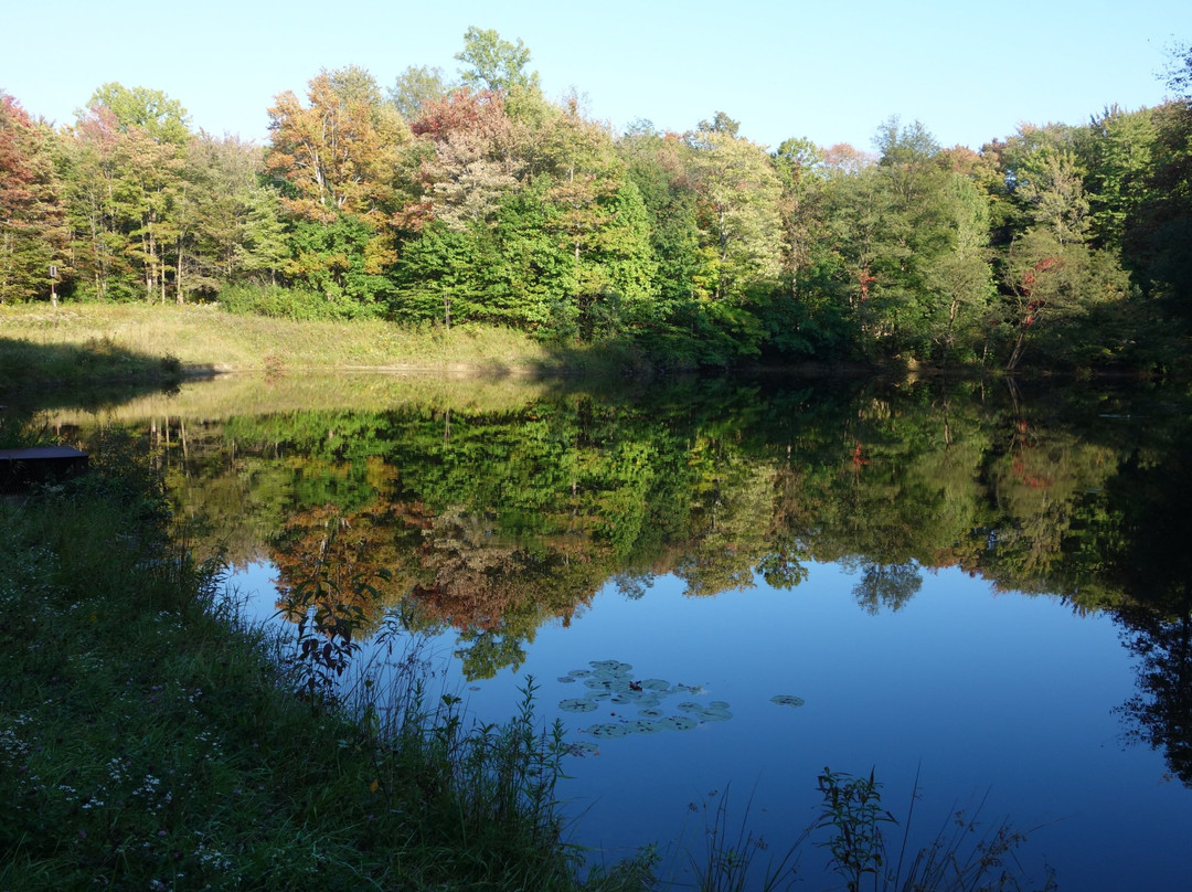 Chardon旅游攻略图片