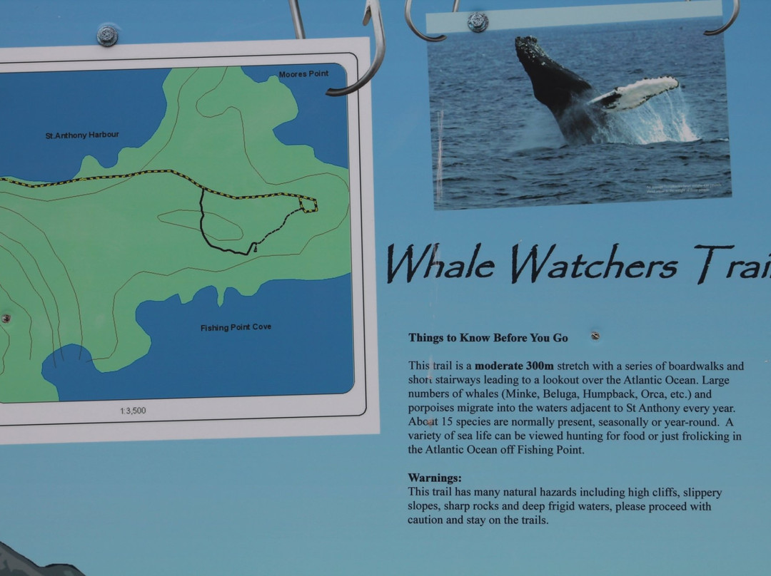Whale Watchers Trail景点图片