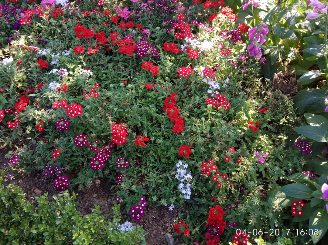 House N Garden景点图片