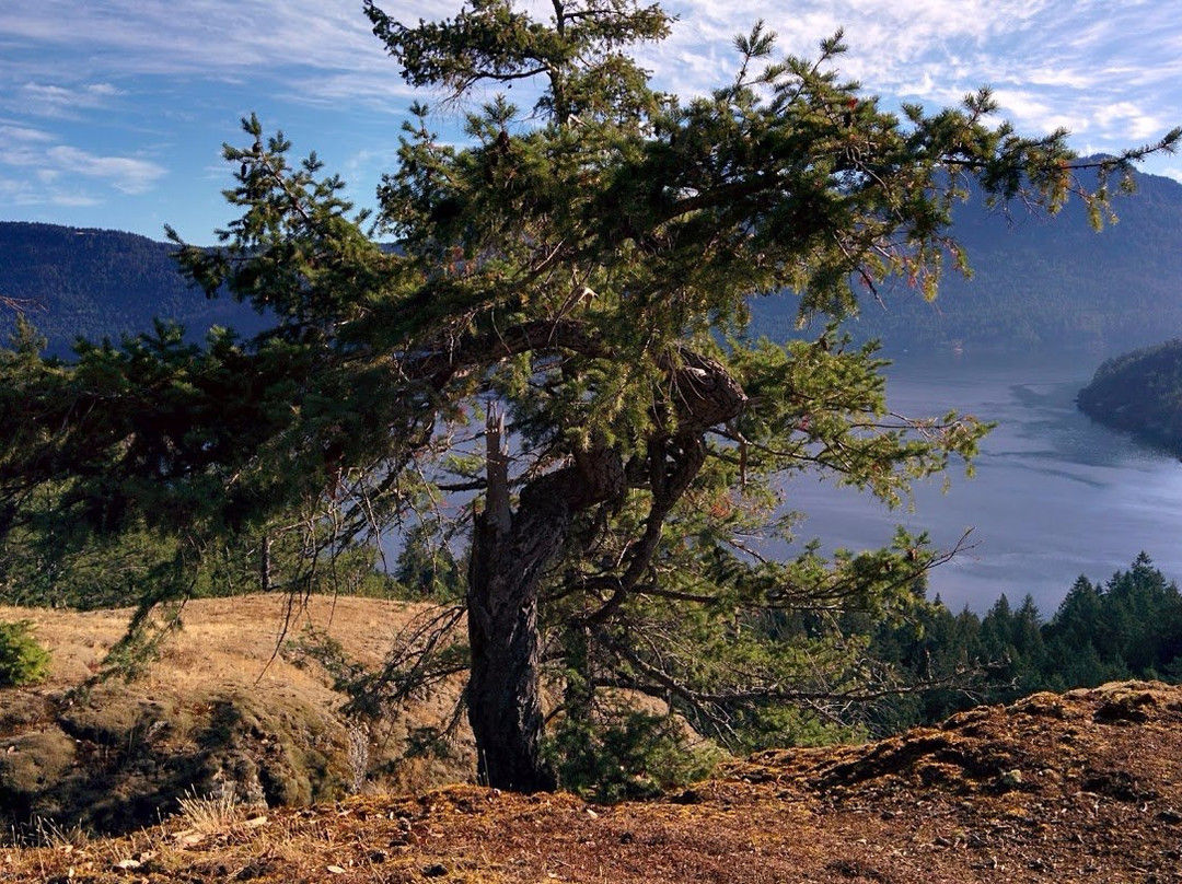 Stoney Hill Regional Park景点图片
