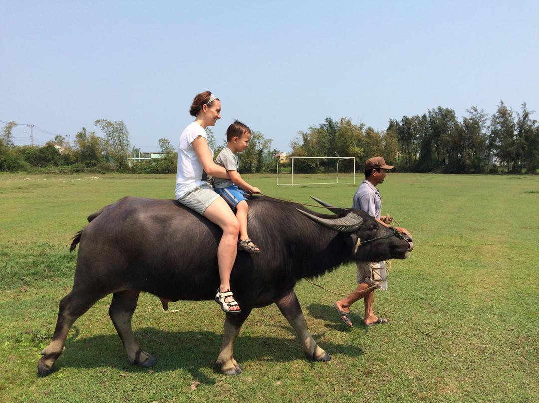 Hoi An Eco Tourism-会安必去景点