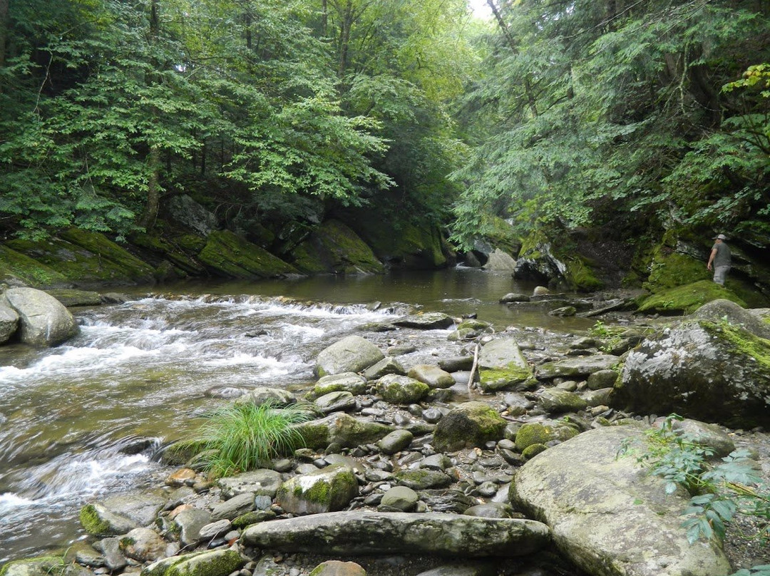 Brewster River Campground