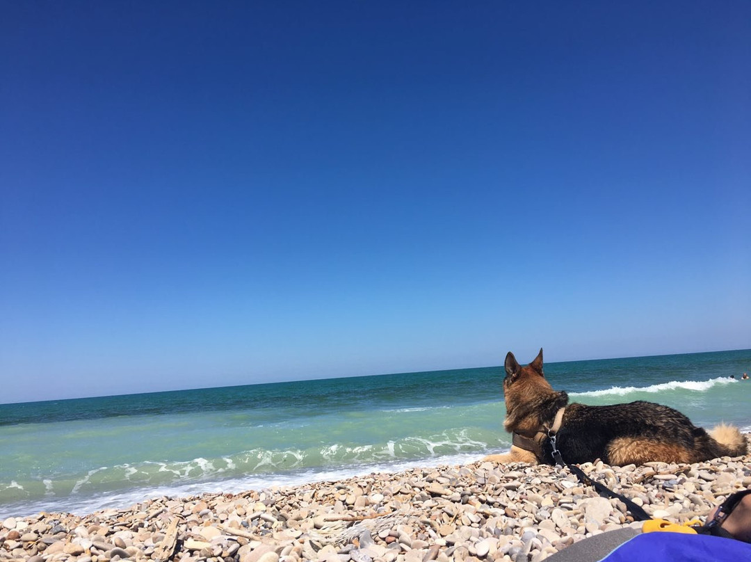 Spiaggia di Mottagrossa景点图片
