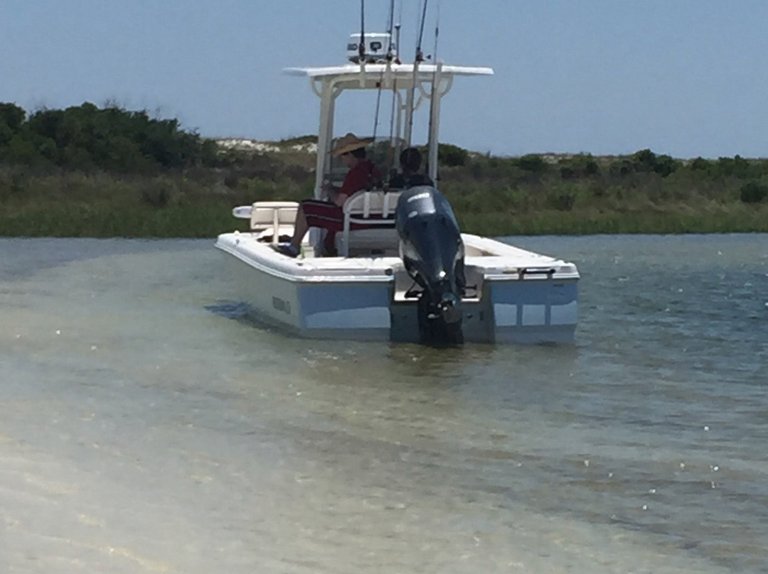 Coastal Life Charters & Adventures-纳瓦拉必去景点