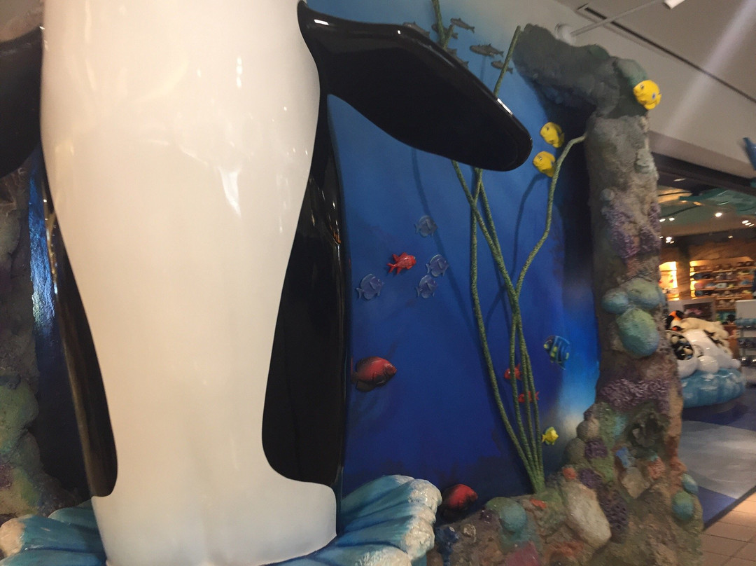 SeaWorld Shop景点图片