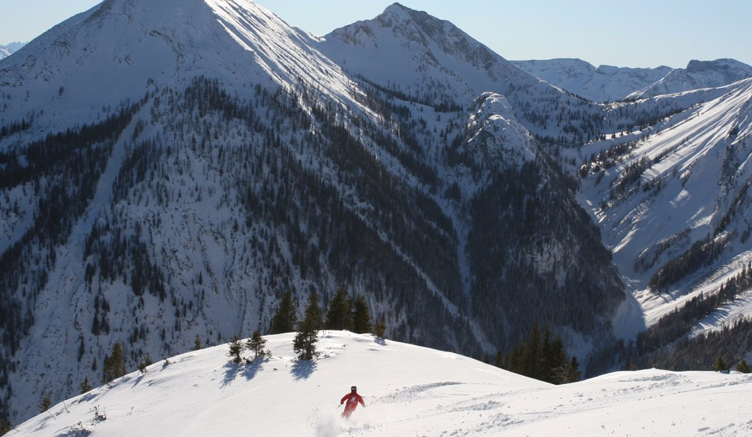 Ski - & Snowboardschule Busslehner景点图片
