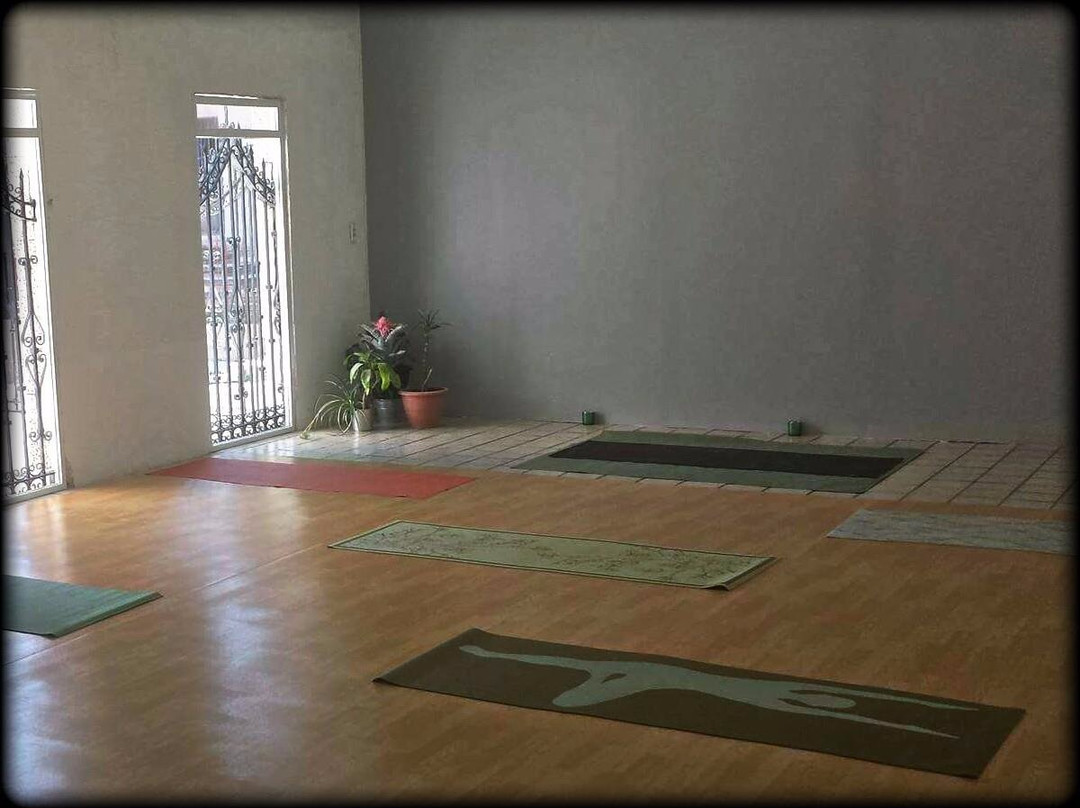 Aire Spa & Wellness-萨卡特卡斯必去景点