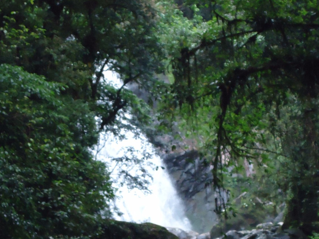 Parque Estadual do Pau Oco景点图片