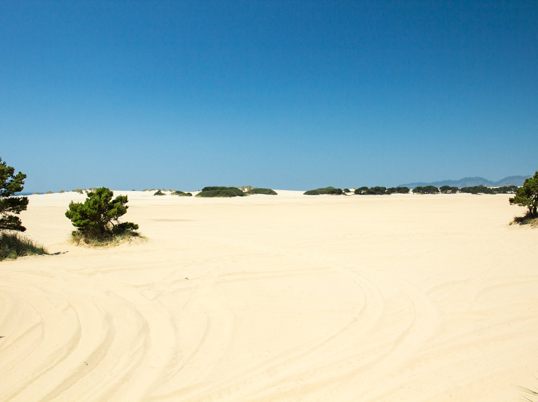 Sandlake Recreation Area-Cloverdale必去景点