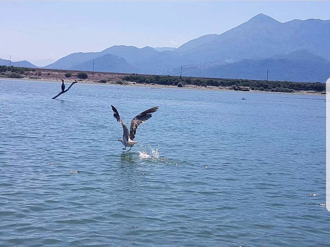 Pelinovo Tours-Stari Bar必去景点