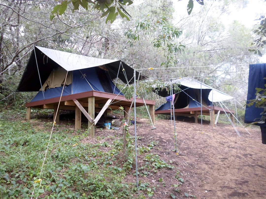 1770 Castaway Island Adventures - Day Tours-Agnes Water必去景点