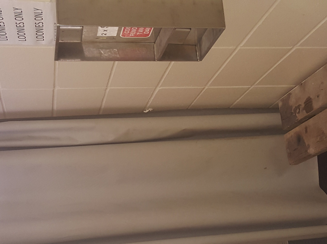 Sandy Beach Regional Park-劳埃德明斯特必去景点