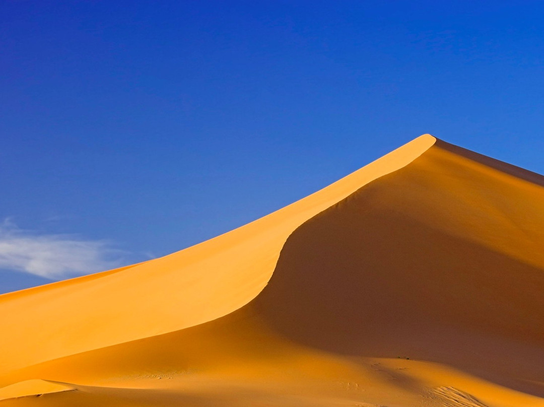 Fes Morocco Desert Tours-非斯必去景点