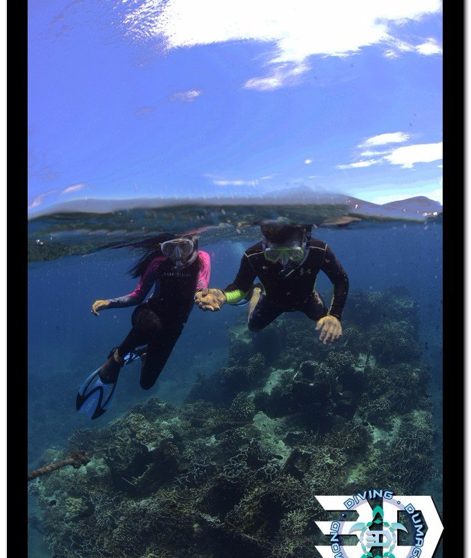 3D Diving Sipalay景点图片