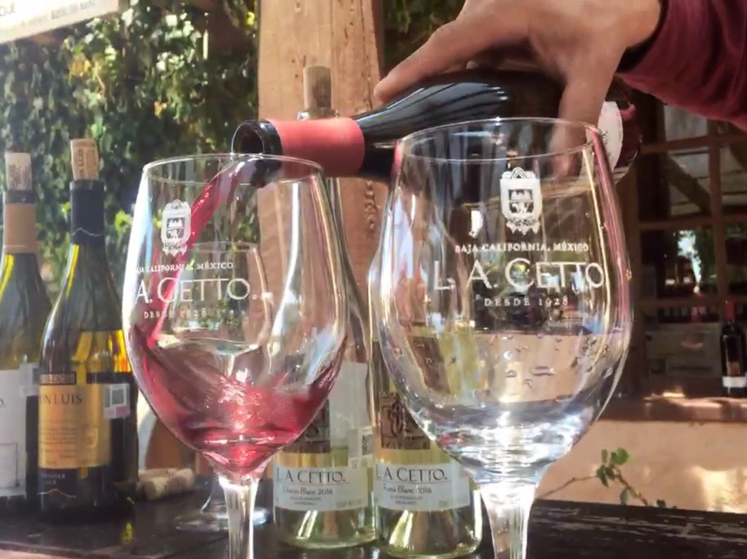 Xplorabaja-罗萨里多必去景点