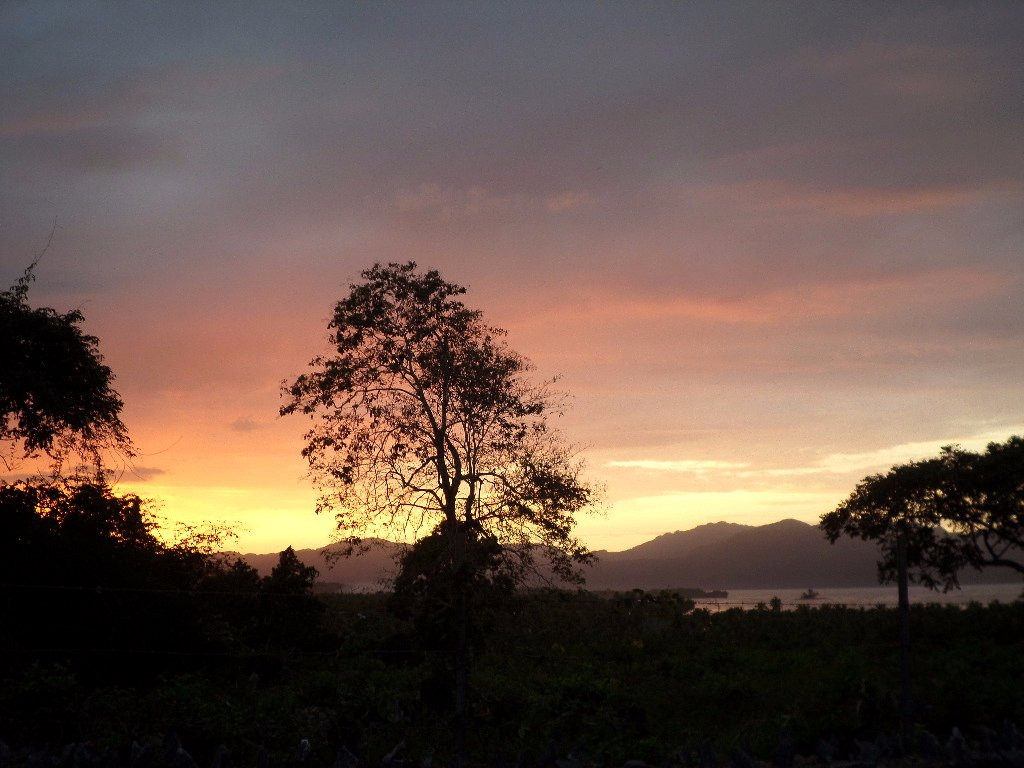 Las Galeras餐馆和美食-Beer Garden LAs Flores