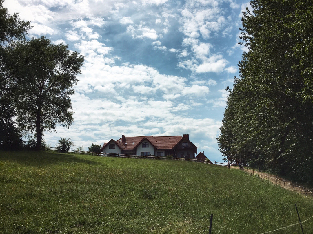 Gospodarstwo Agroturystyka Rancho Robertowka