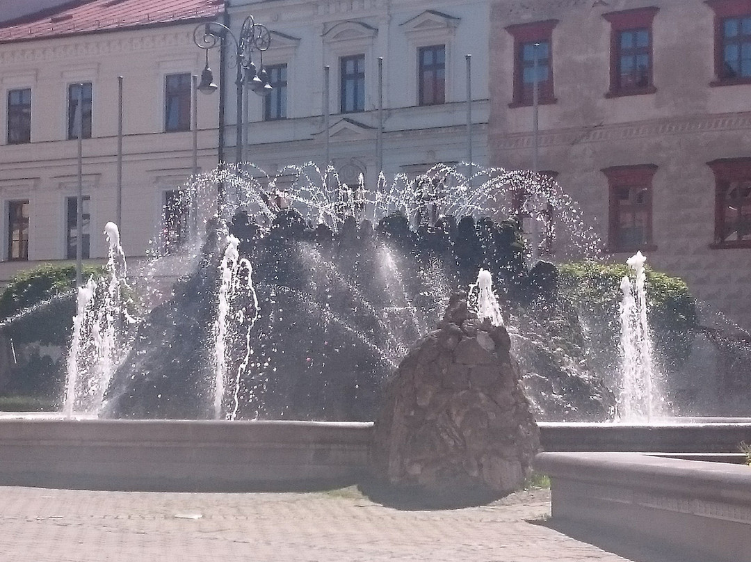 The Stone Fountain-Banska Bystrica必去景点