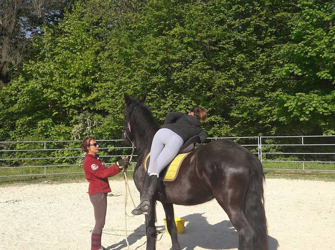 Centre equestre La Cavalcade景点图片