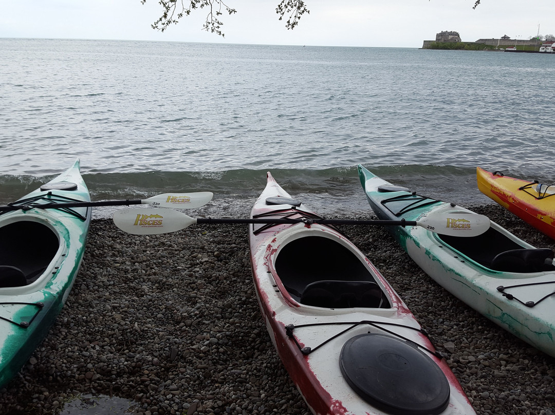 Niagara Kayak Rentals-滨湖尼亚加拉必去景点
