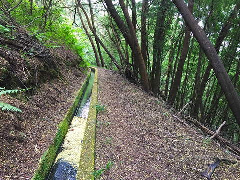 Walkme Madeira Levadas-沙尔必去景点