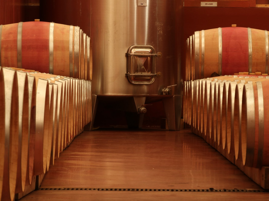 Vignerons du Brulhois景点图片