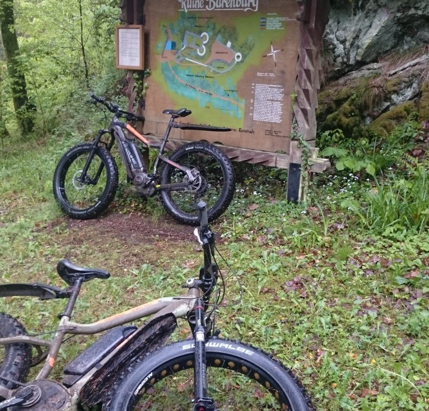 Fat Stevens Fatbike-Verleih景点图片