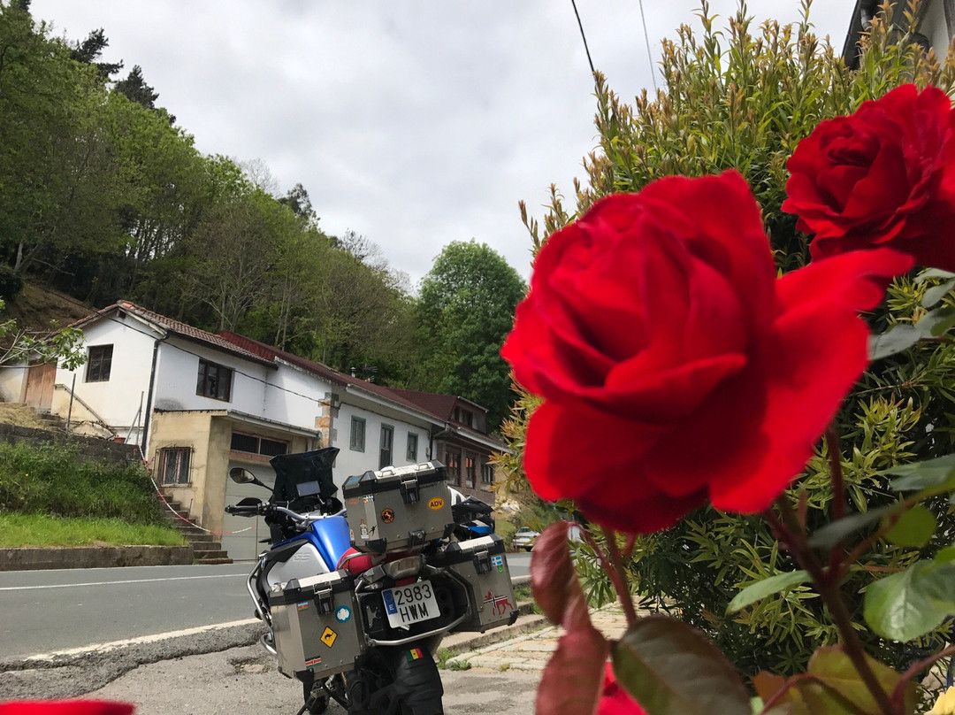 Ontaneda旅游攻略图片