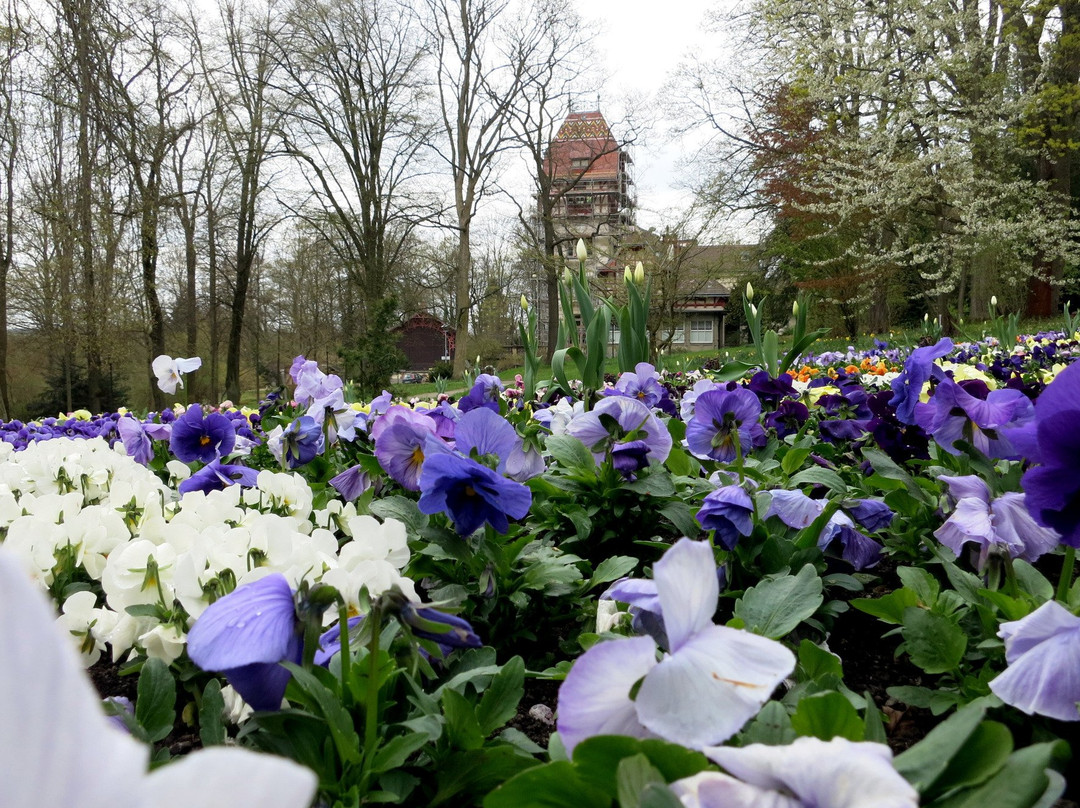 Botanischer Garten Hof景点图片