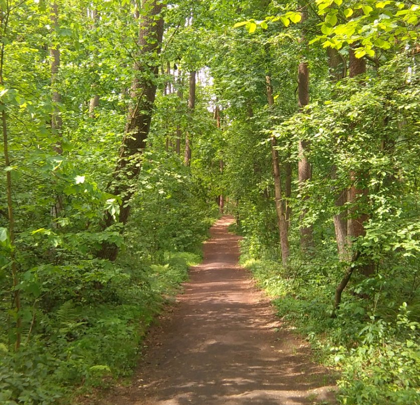 Zrodła Krolewskie-Kozienice必去景点