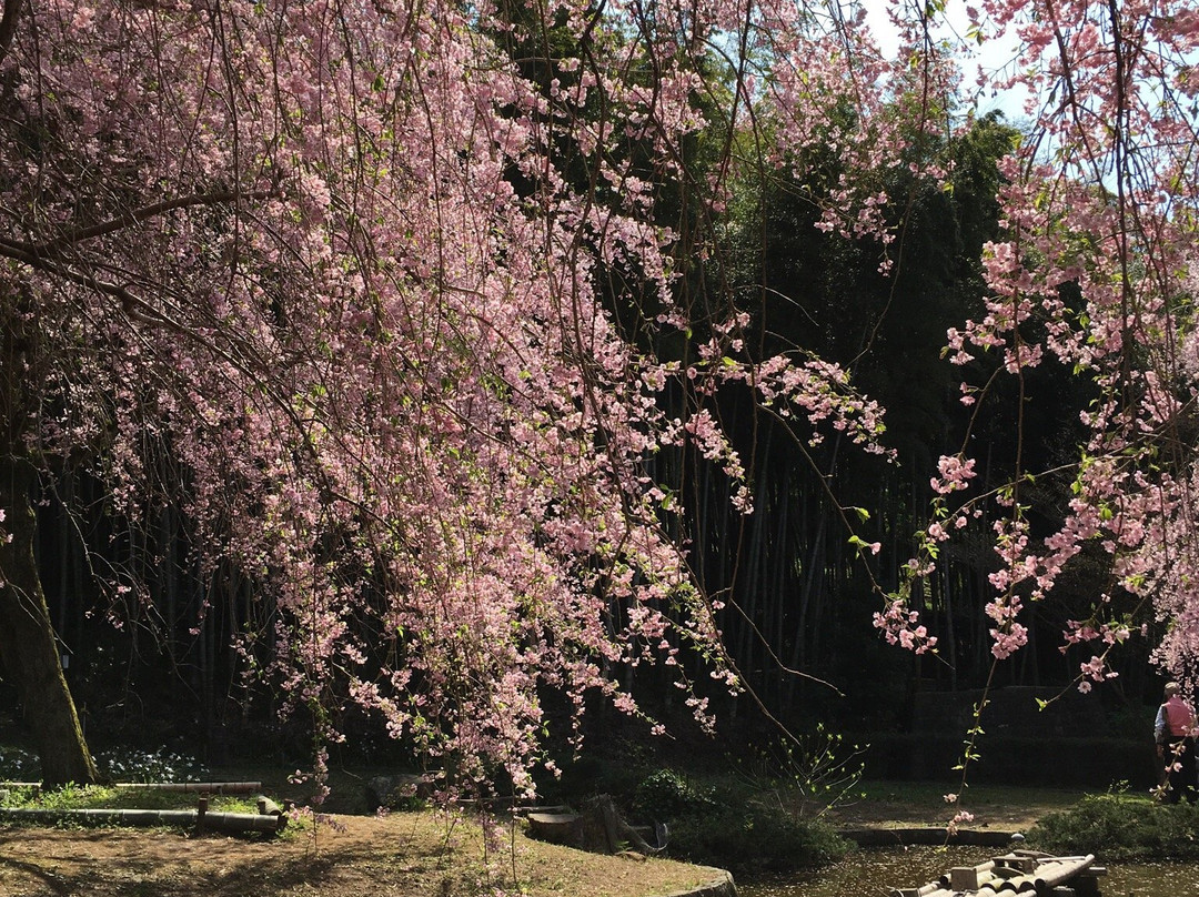 Araijoshi Park-真鹤町必去景点