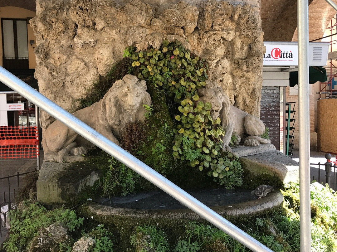 Fontana dei due Leoni-泰拉莫必去景点