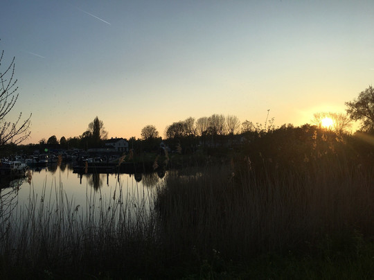 Brabantse Biesbosch主图