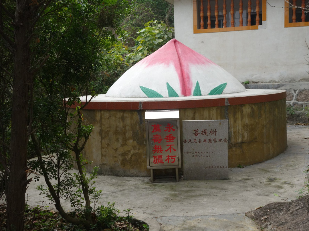 龙泉岩寺庙群景点图片