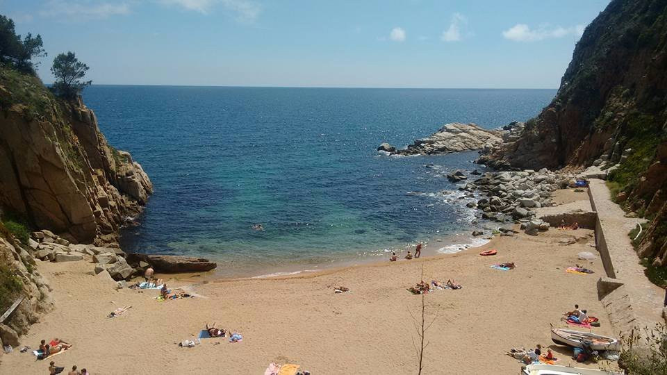 Platja d’es Codolar景点图片