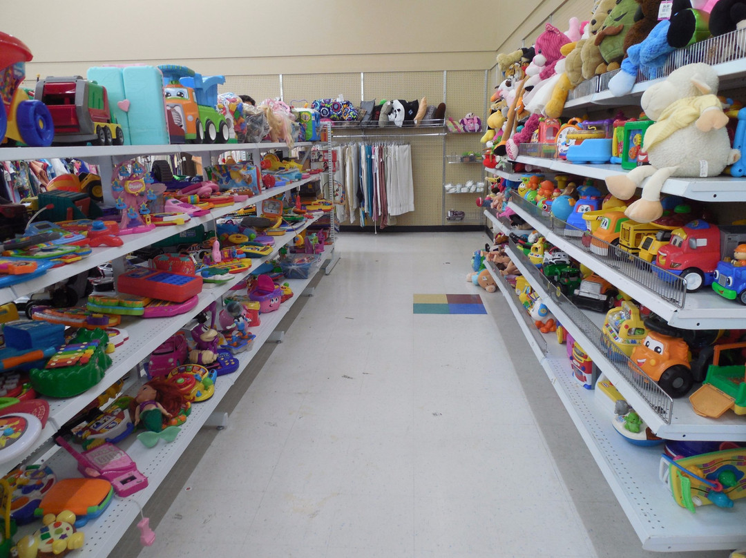 Savers-维帕胡必去景点