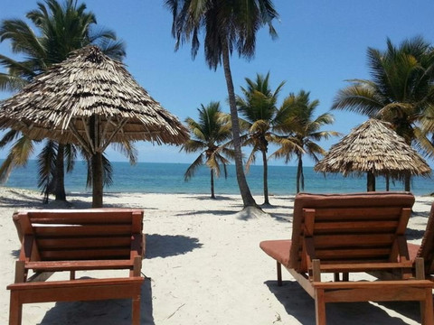 Haleluya Tours & Safaris