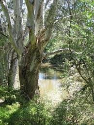 Bulleen Park景点图片