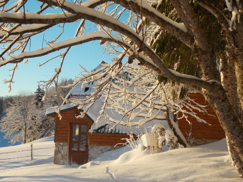 Family Farm Apartments