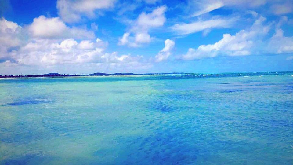 Fortinho Beach (Enseada dos Golfinhos)景点图片