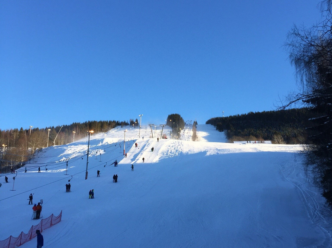 Hurdal Skisenter景点图片