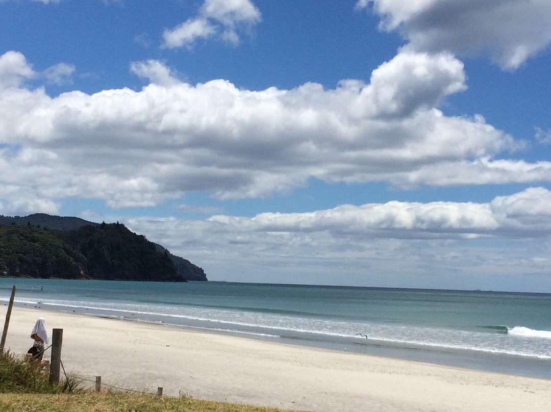 Waihi Beach Surf School-Waihi Beach必去景点