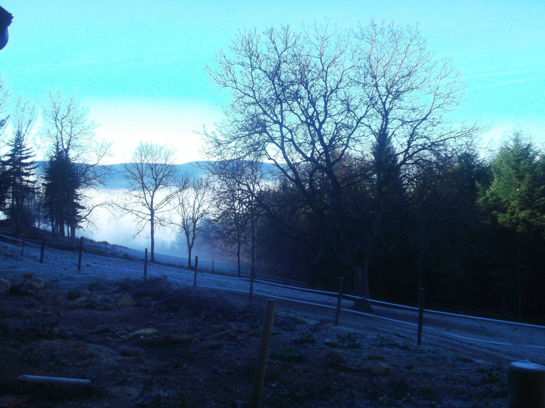 L'Ecrin de Brierat-Saint-Priest-la-Prugne必去景点